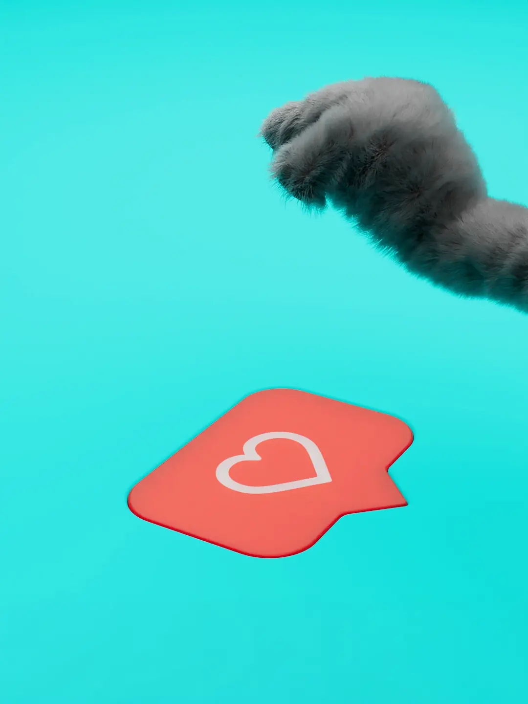 Social Media Stellenanzeige Thumbnail